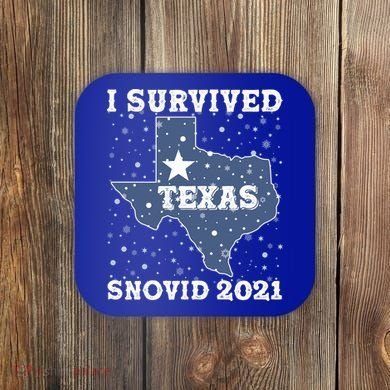 I Survived Snovid 2021Texas Snowstorm Coaster
