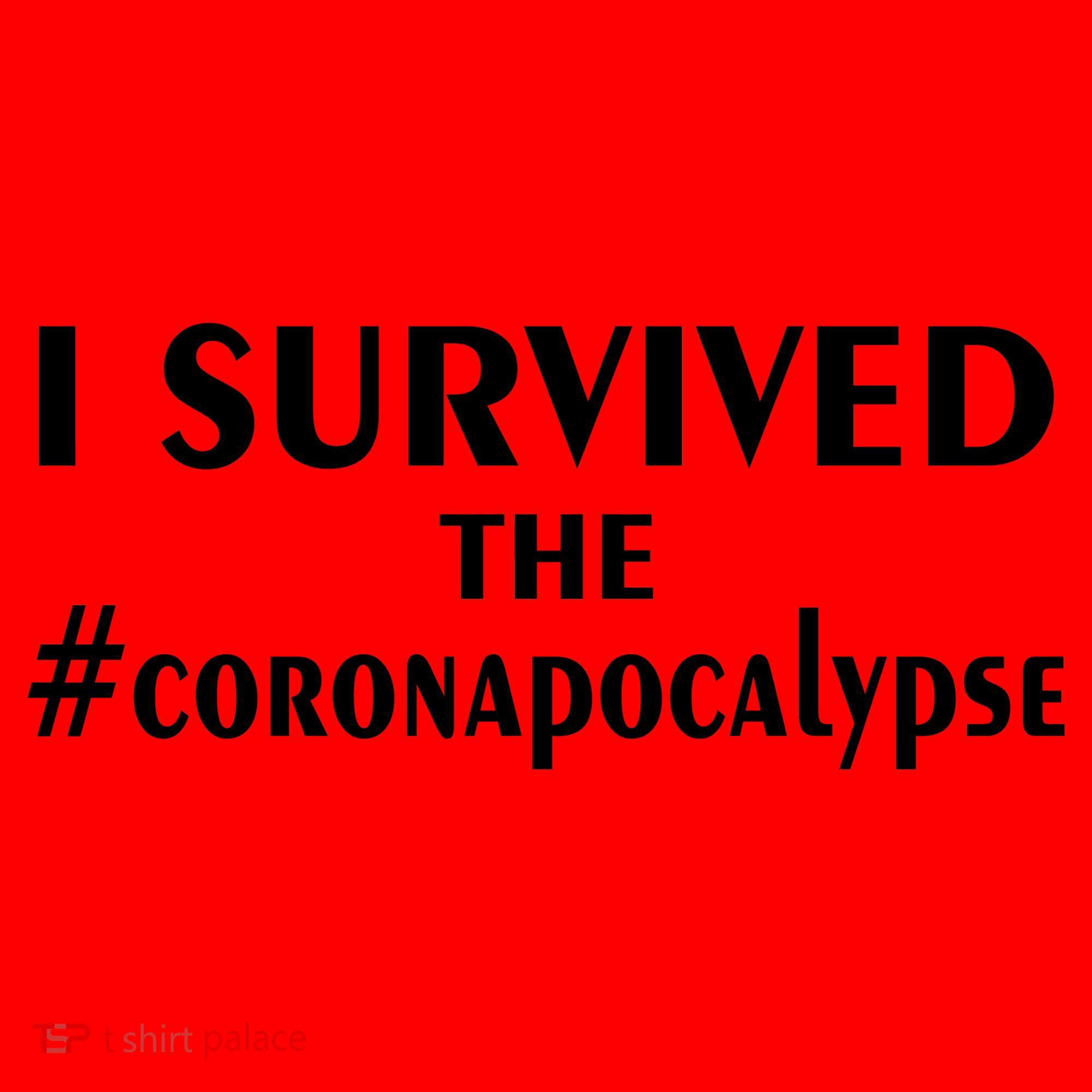 I Survived The Coronapocalypse Santa Hat