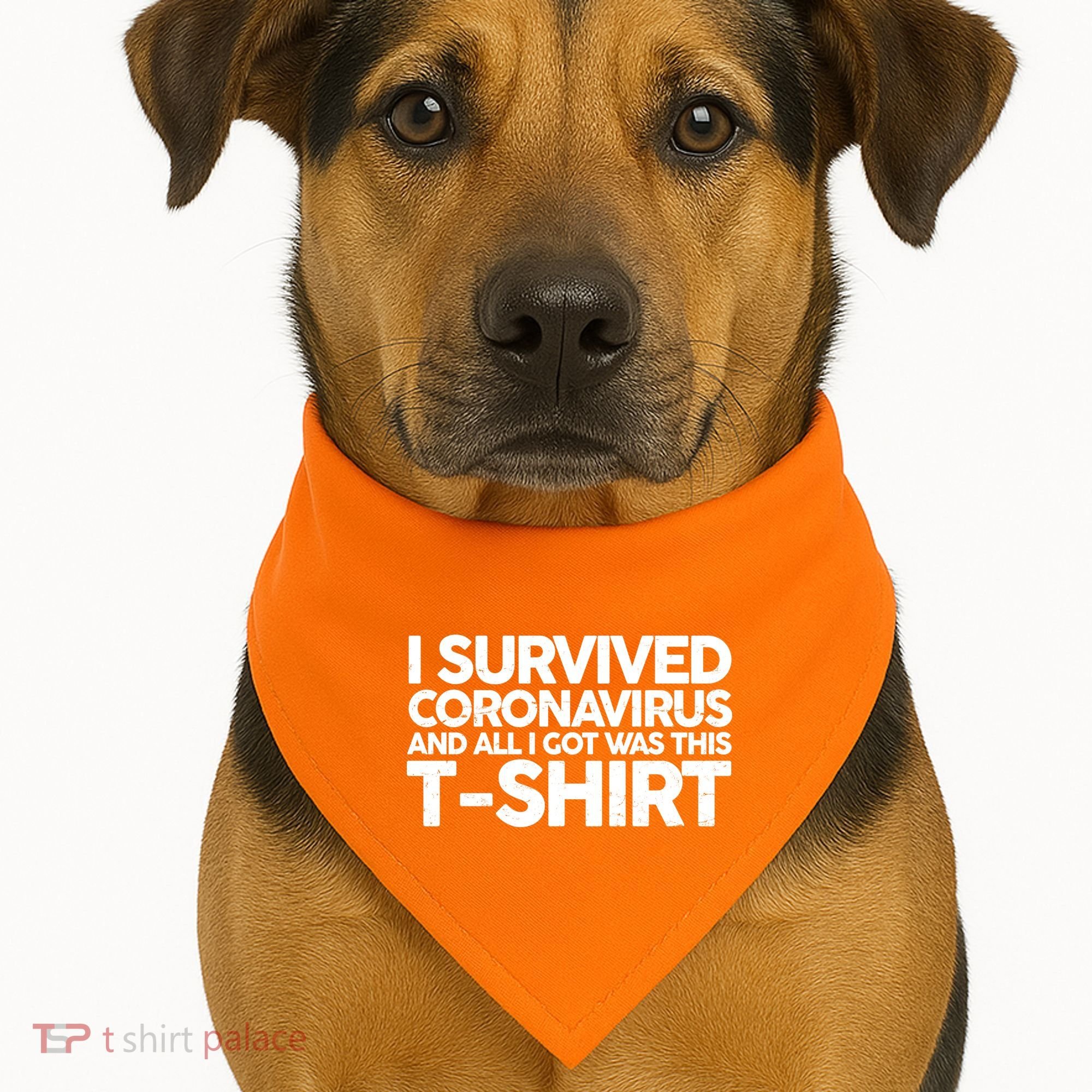 I Survived the Coronavirus and All I Got Was This USA-Made Doggie Bandana