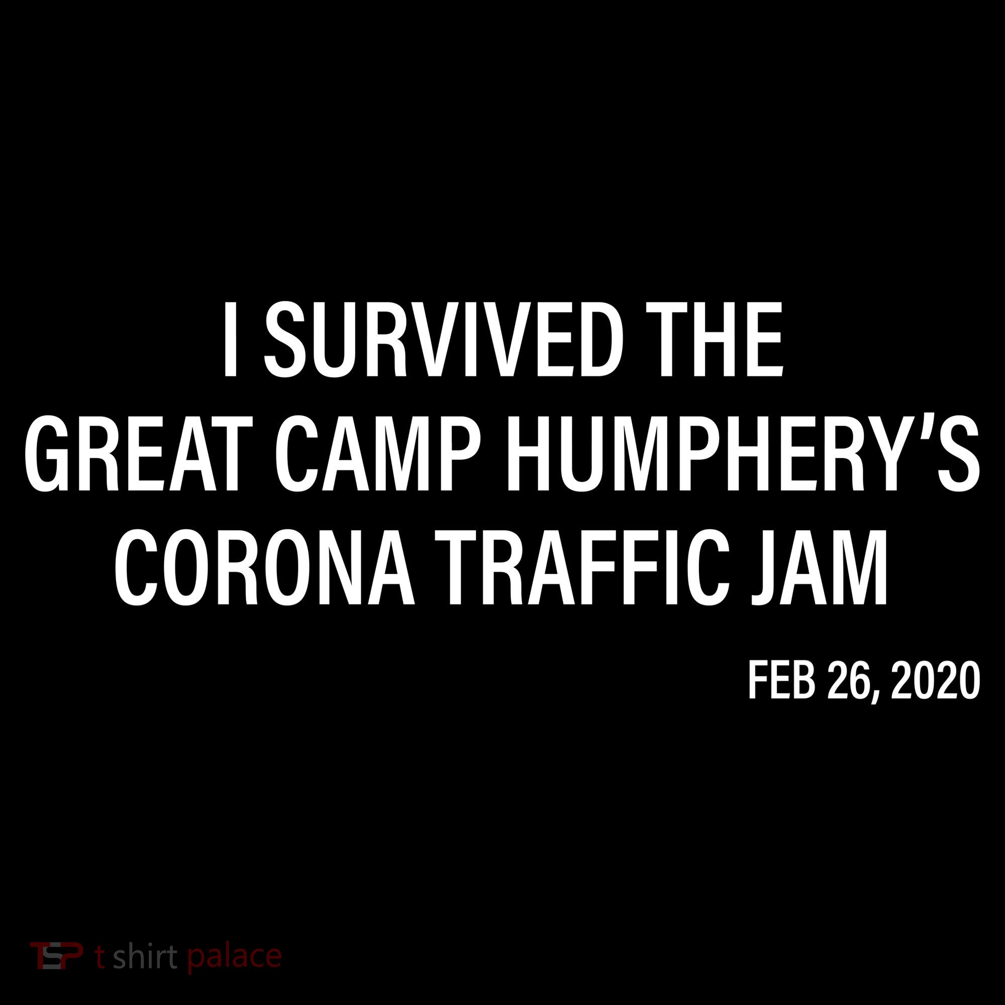 I Survived The Great Traffic Jam Coaster