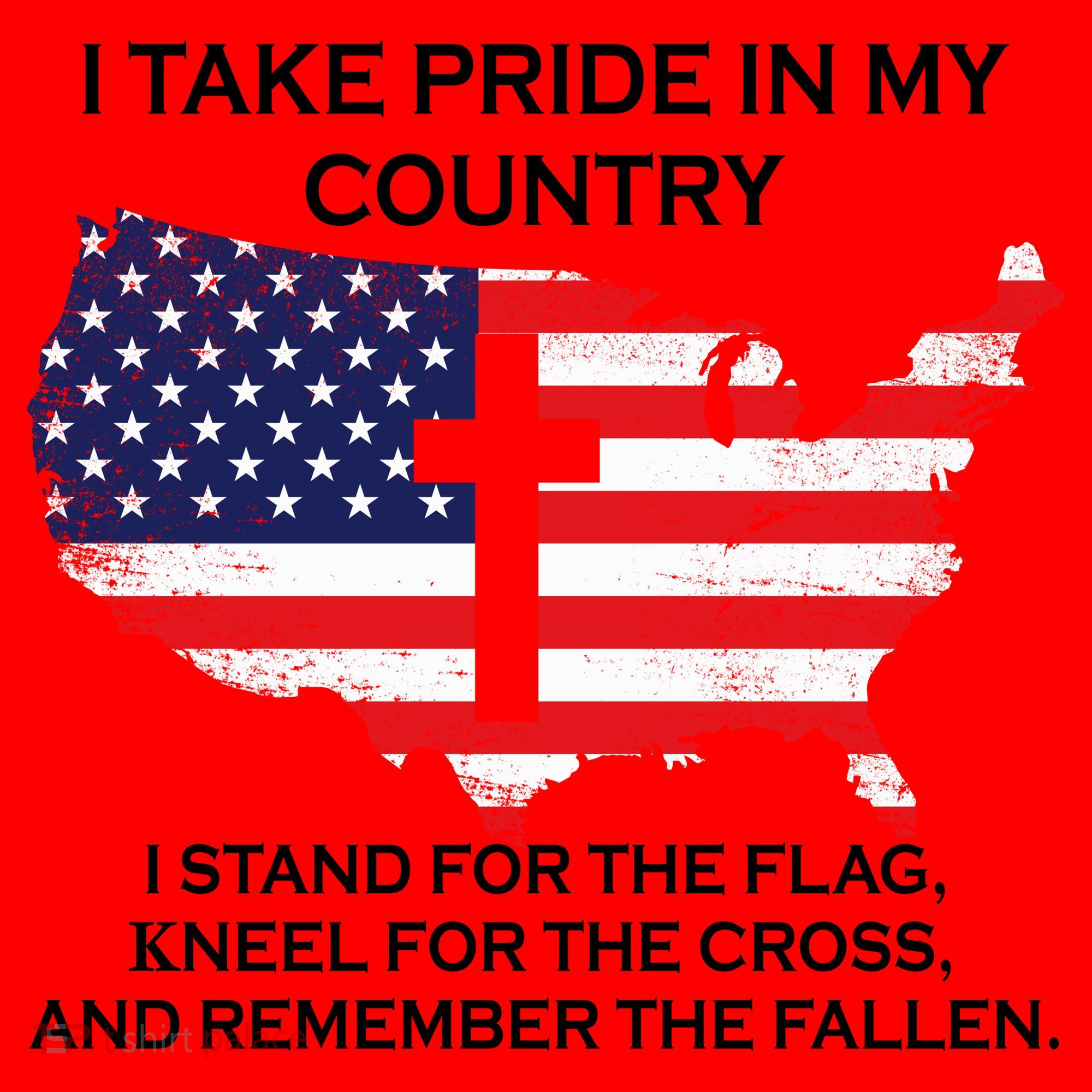 I Take Pride In My Country USA Santa Hat