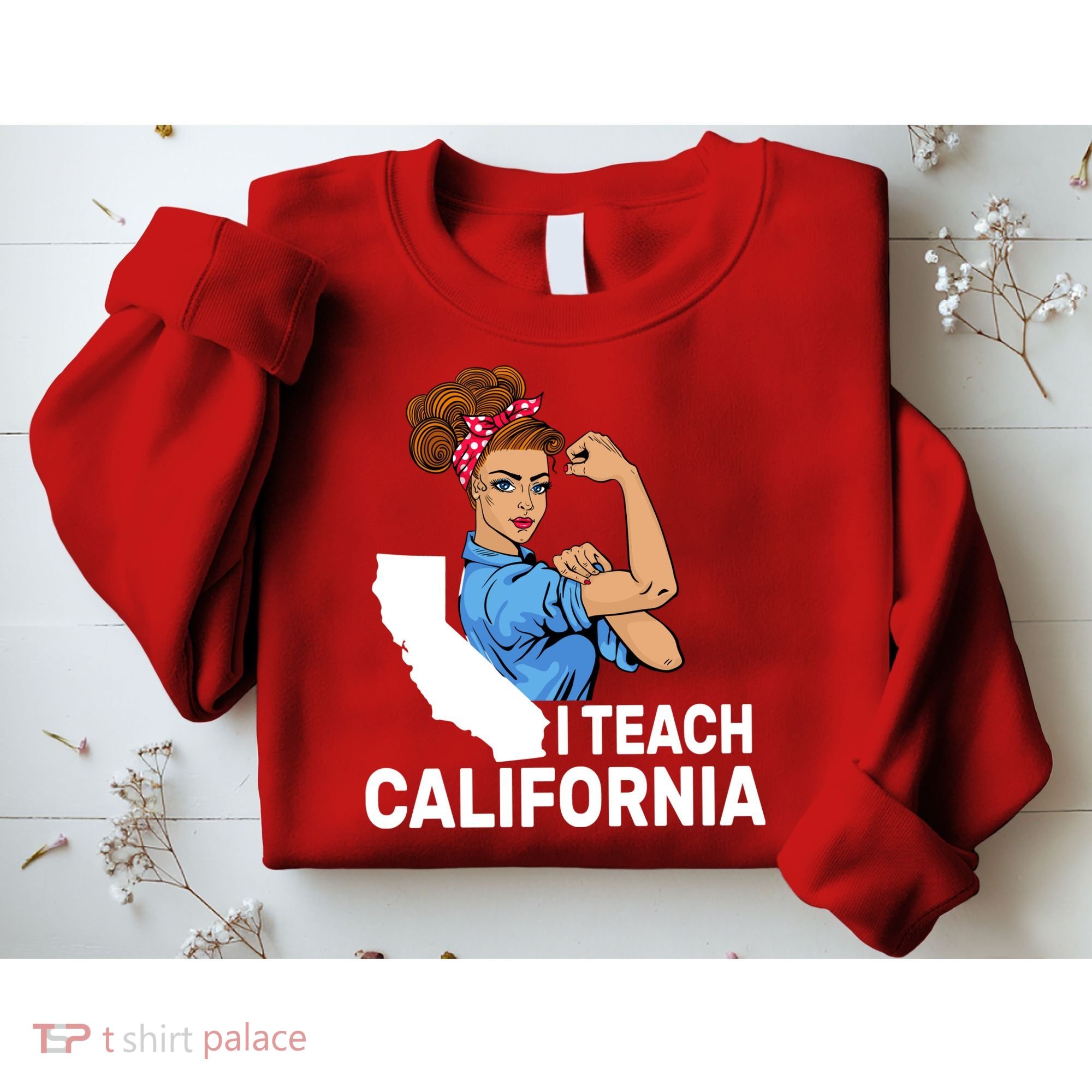 I Teach California State Union Teacher Strike Sweatshirt