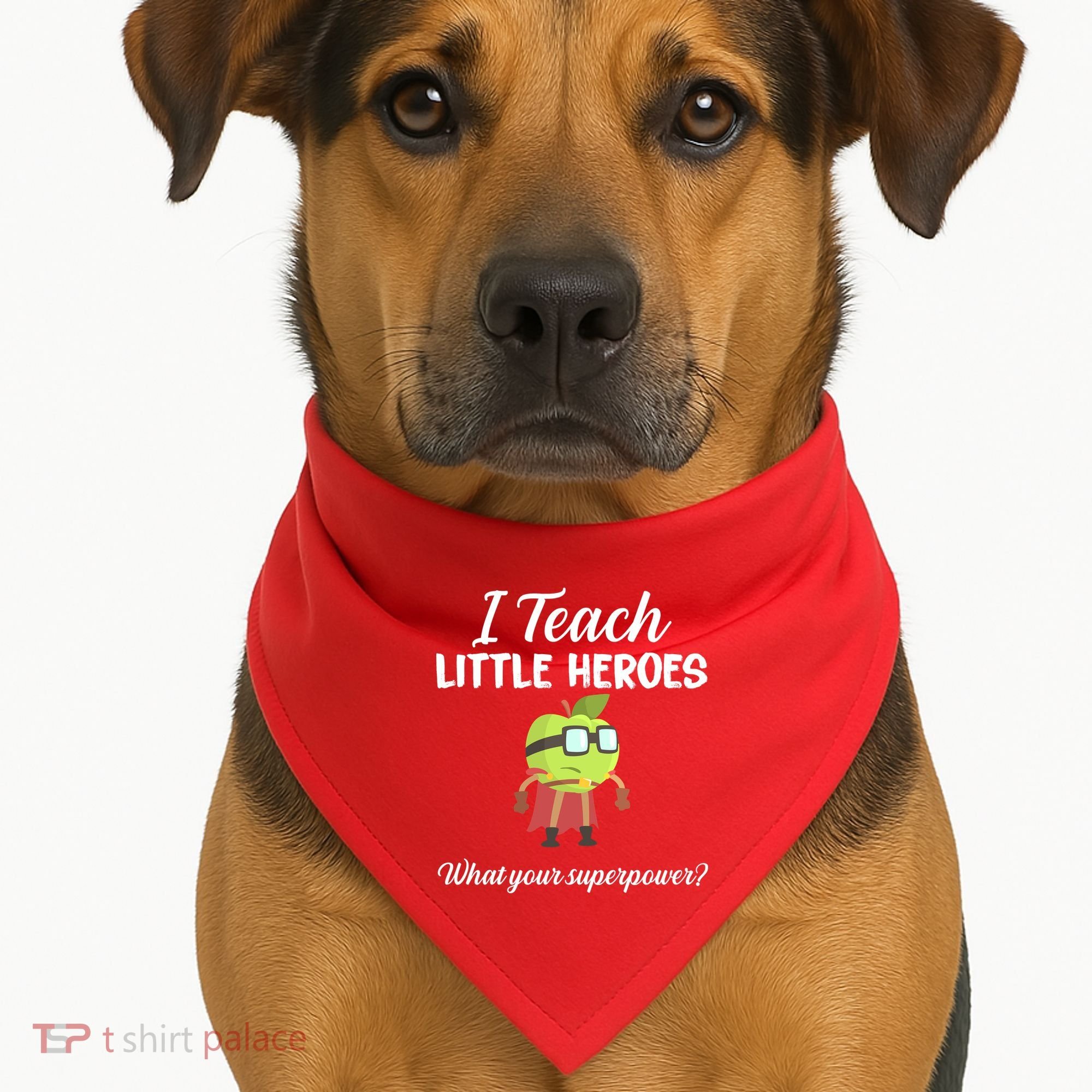 I Teach Little Heroes USA-Made Doggie Bandana