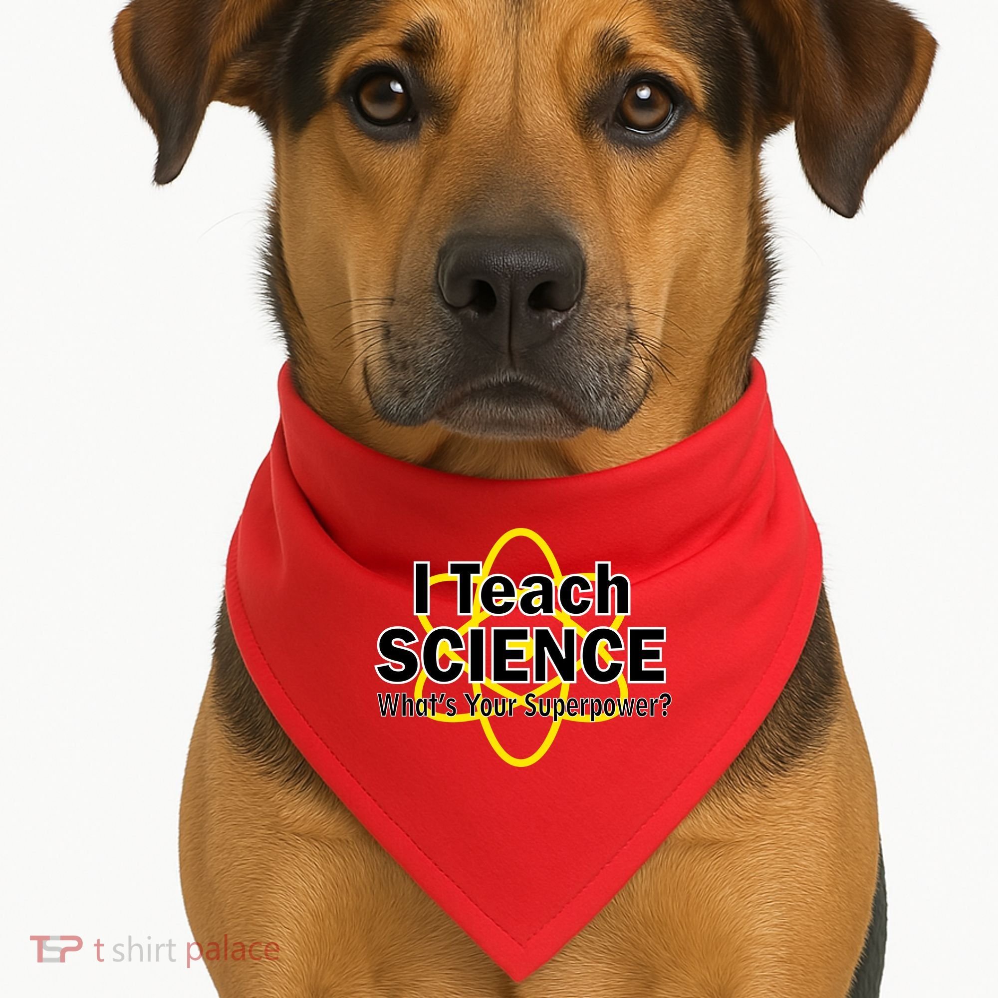 I Teach Science What's Your Superpower? USA-Made Doggie Bandana