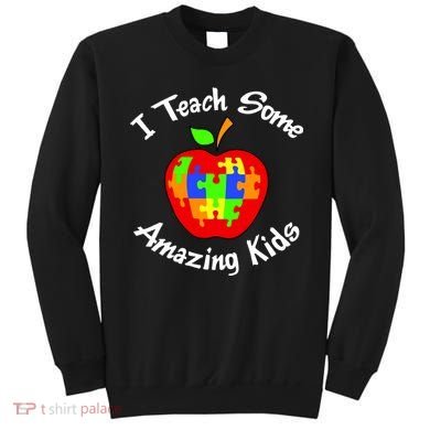 I Teach Some Amazing Kids Sweatshirt