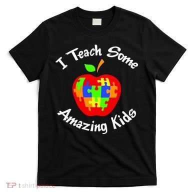 I Teach Some Amazing Kids T-Shirt