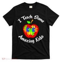 I Teach Some Amazing Kids T-Shirt thumb 0