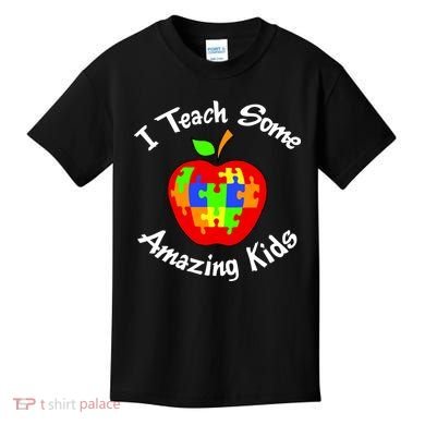 I Teach Some Amazing Kids Kids T-Shirt