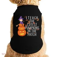 I Teach The Cutest Pumpkins in the Patch Doggie Tank thumb 0