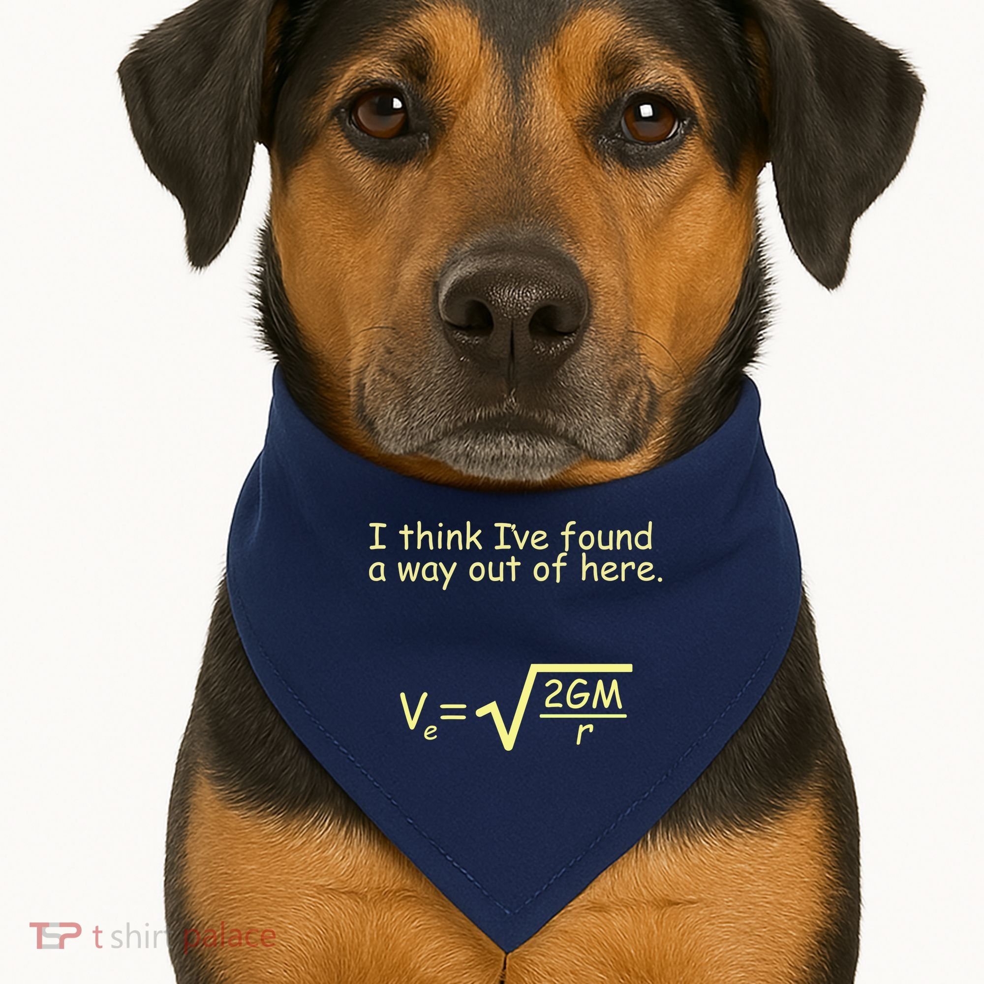 I Think I've Found A Way Out USA-Made Doggie Bandana