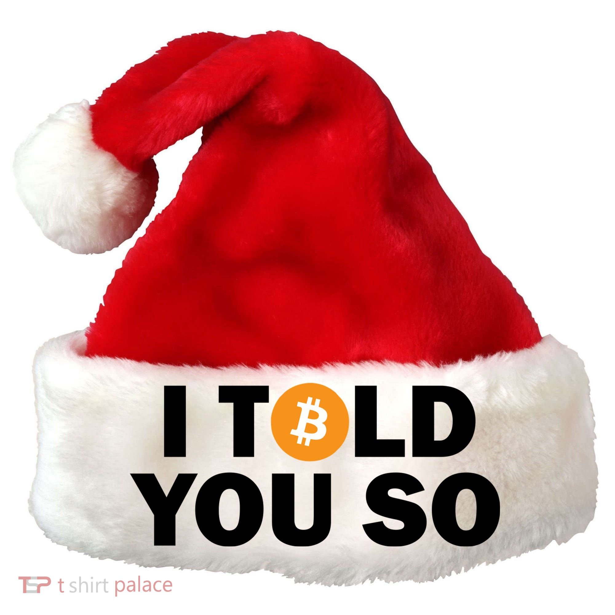 I Told You So Funny Bitcoin Santa Hat