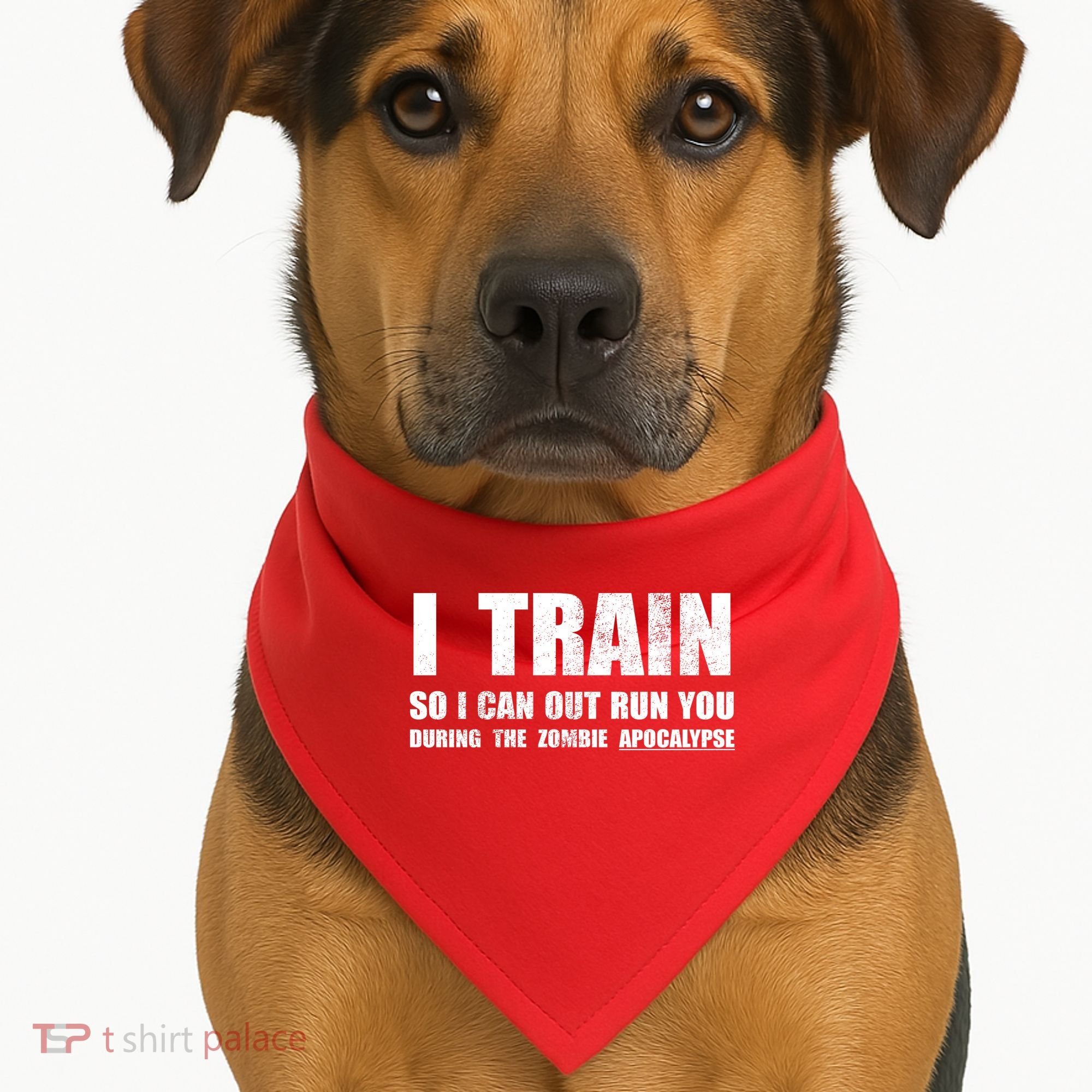 I Train So I Can Out Run You During A Zombie Apocalypse USA-Made Doggie Bandana