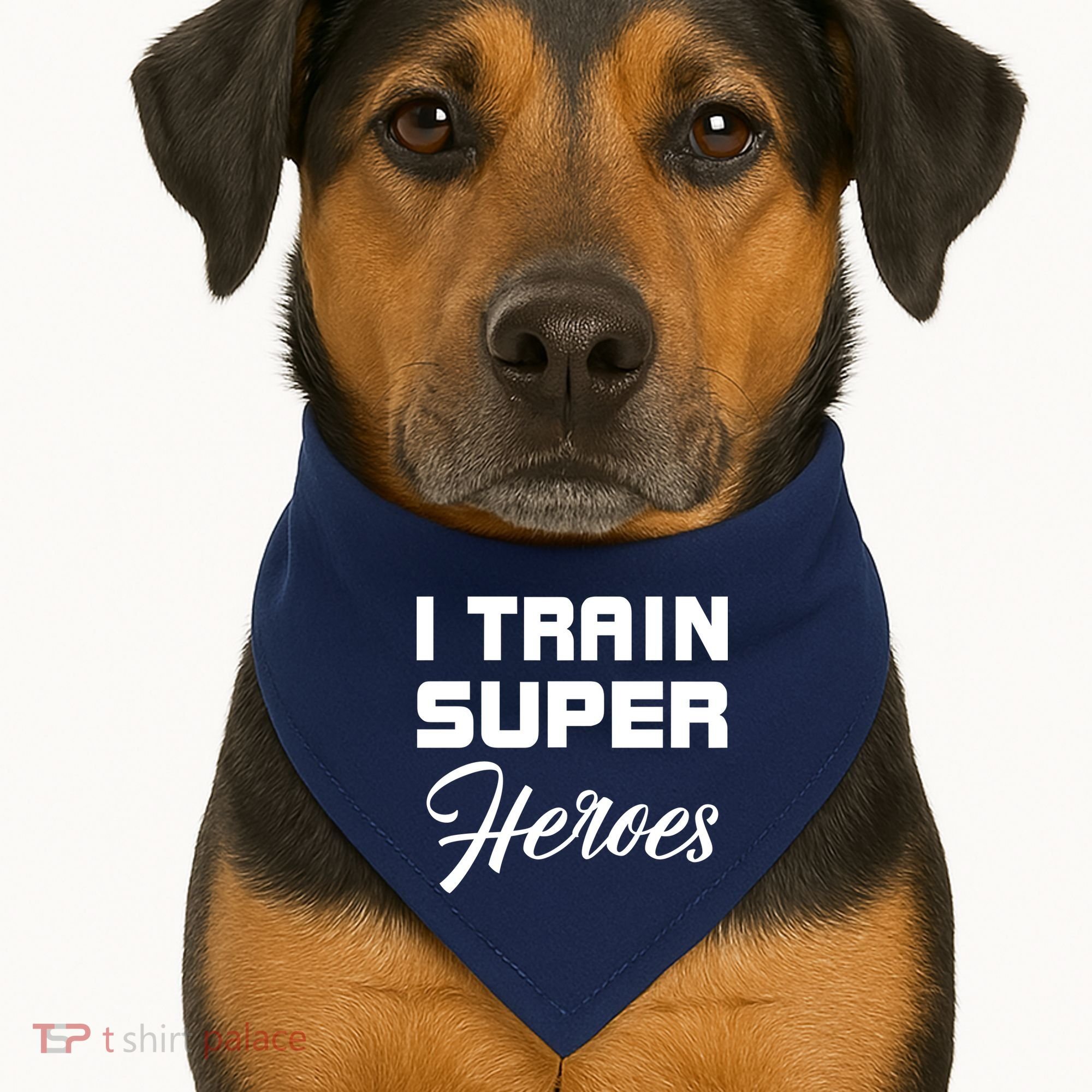 I Train Super Heroes USA-Made Doggie Bandana