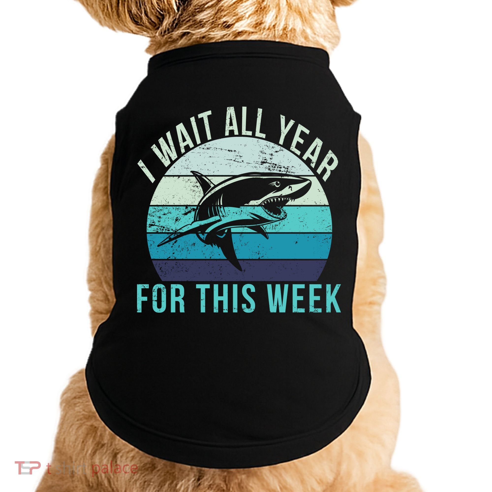 I Wait All Year For This Week Shark Doggie Tank