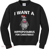 I Want A Hippopotamus For Christmas Kids Sweatshirt thumb 0
