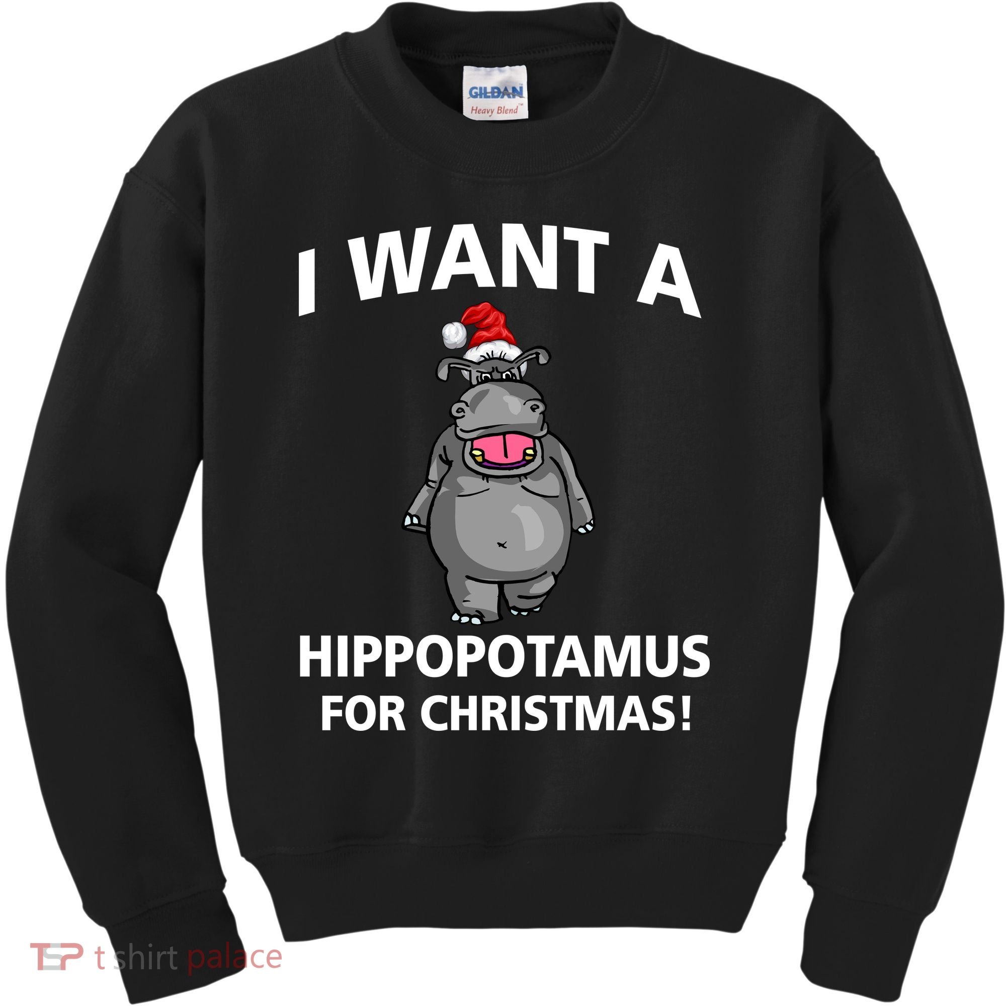 I Want A Hippopotamus For Christmas Kids Sweatshirt