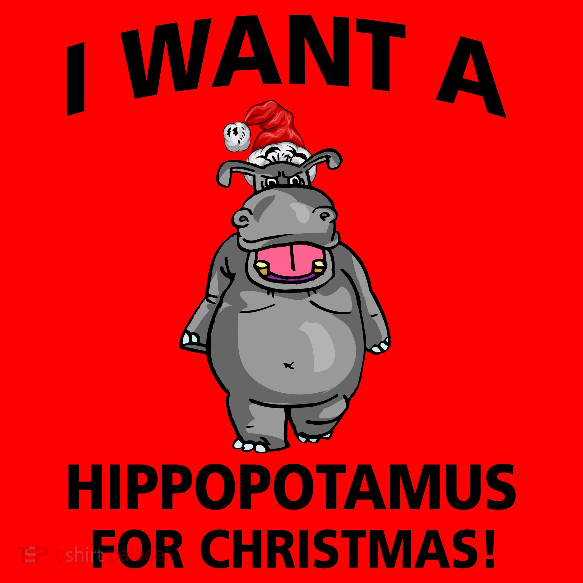 I Want A Hippopotamus For Christmas Santa Hat