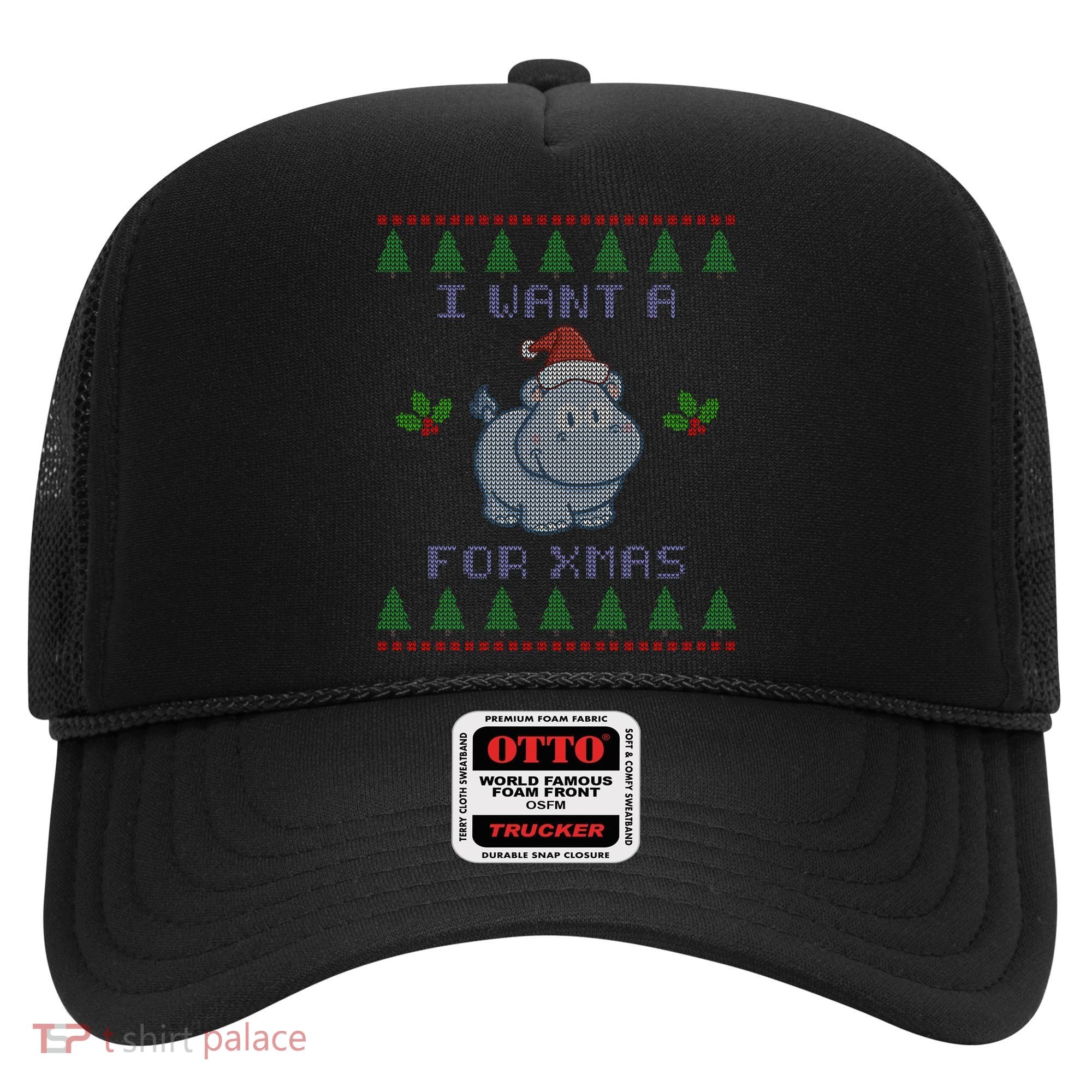 I Want A Hippopotamus For Christmas Ugly Hat