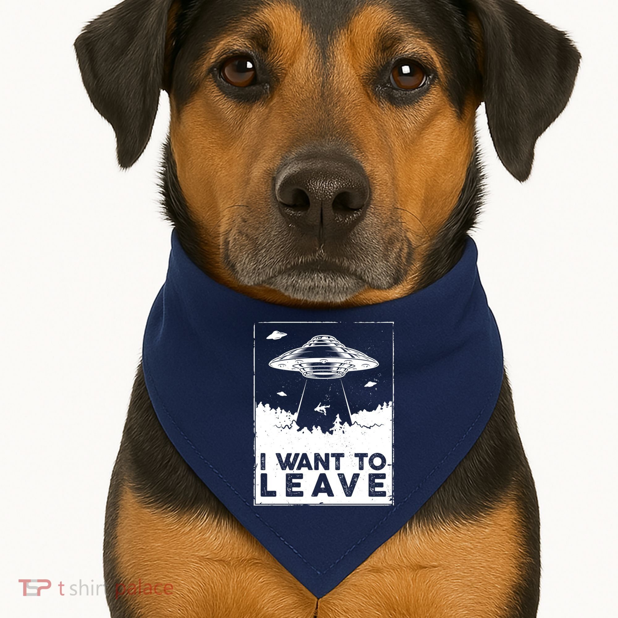 I Want To Leave UFO Alien USA-Made Doggie Bandana