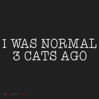 I Was Normal 3 Cats Ago Women's Sweatshirt thumb 2