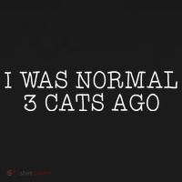 I Was Normal 3 Cats Ago T-Shirt thumb 7