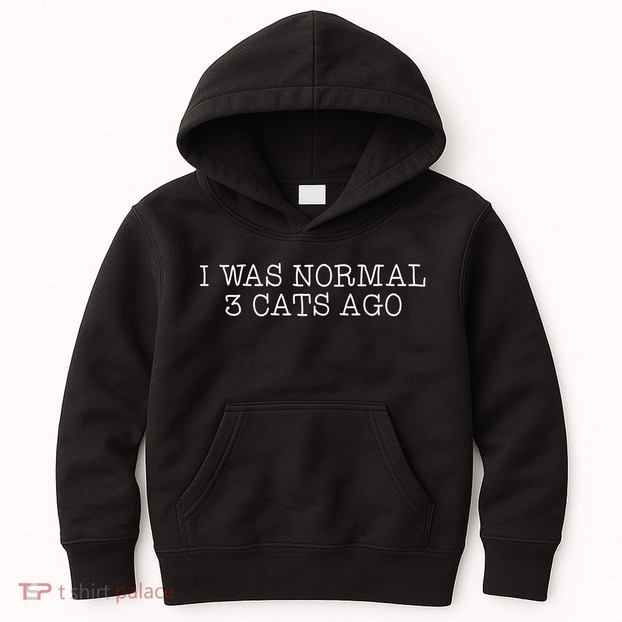 I Was Normal 3 Cats Ago Kids Hoodie