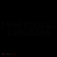 I Was Normal 3 Dogs Ago Coffee Mug thumb 5
