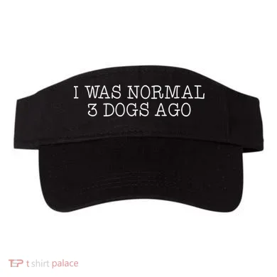 Visor