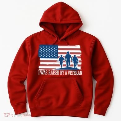 I Was Raised By A Veteran Hoodie