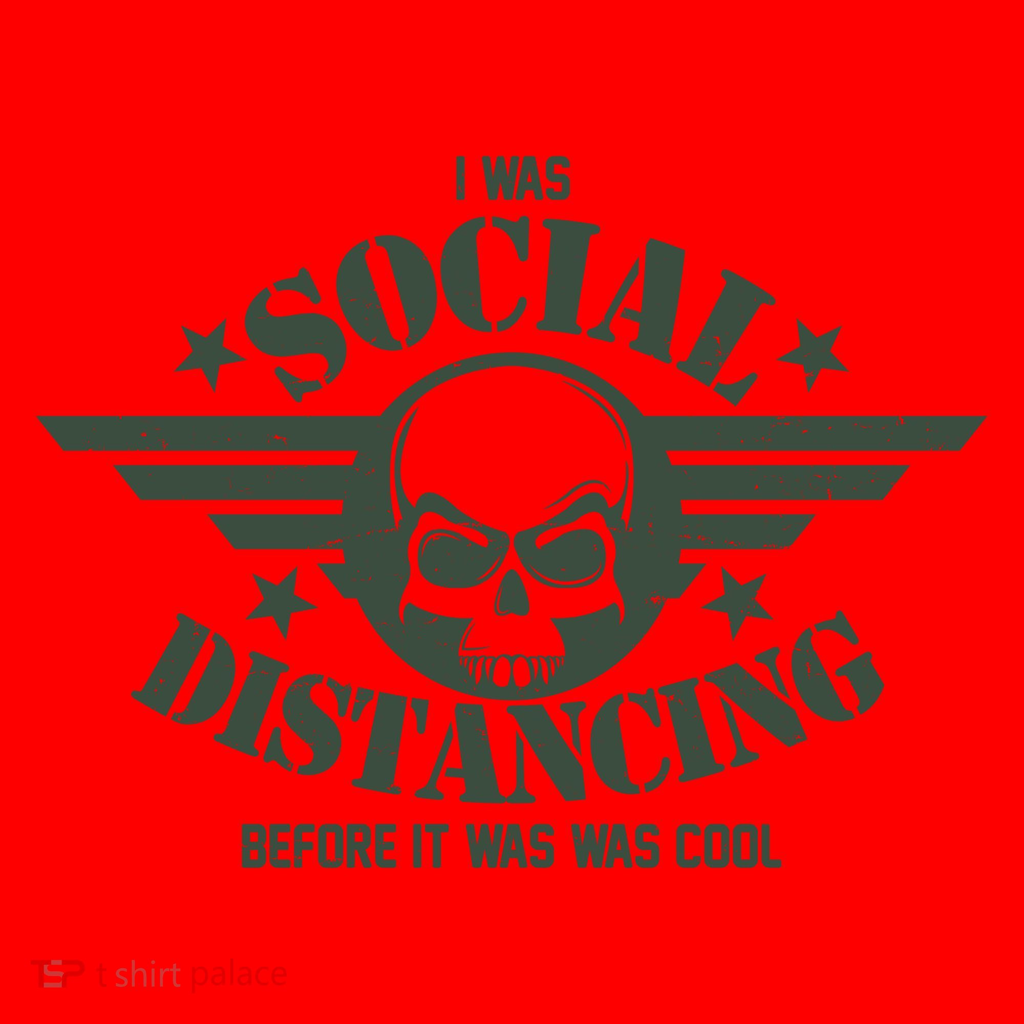 I Was Social Distancing Before It Was Cool Skull Badge Santa Hat