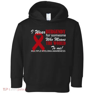 Toddler Hoodie