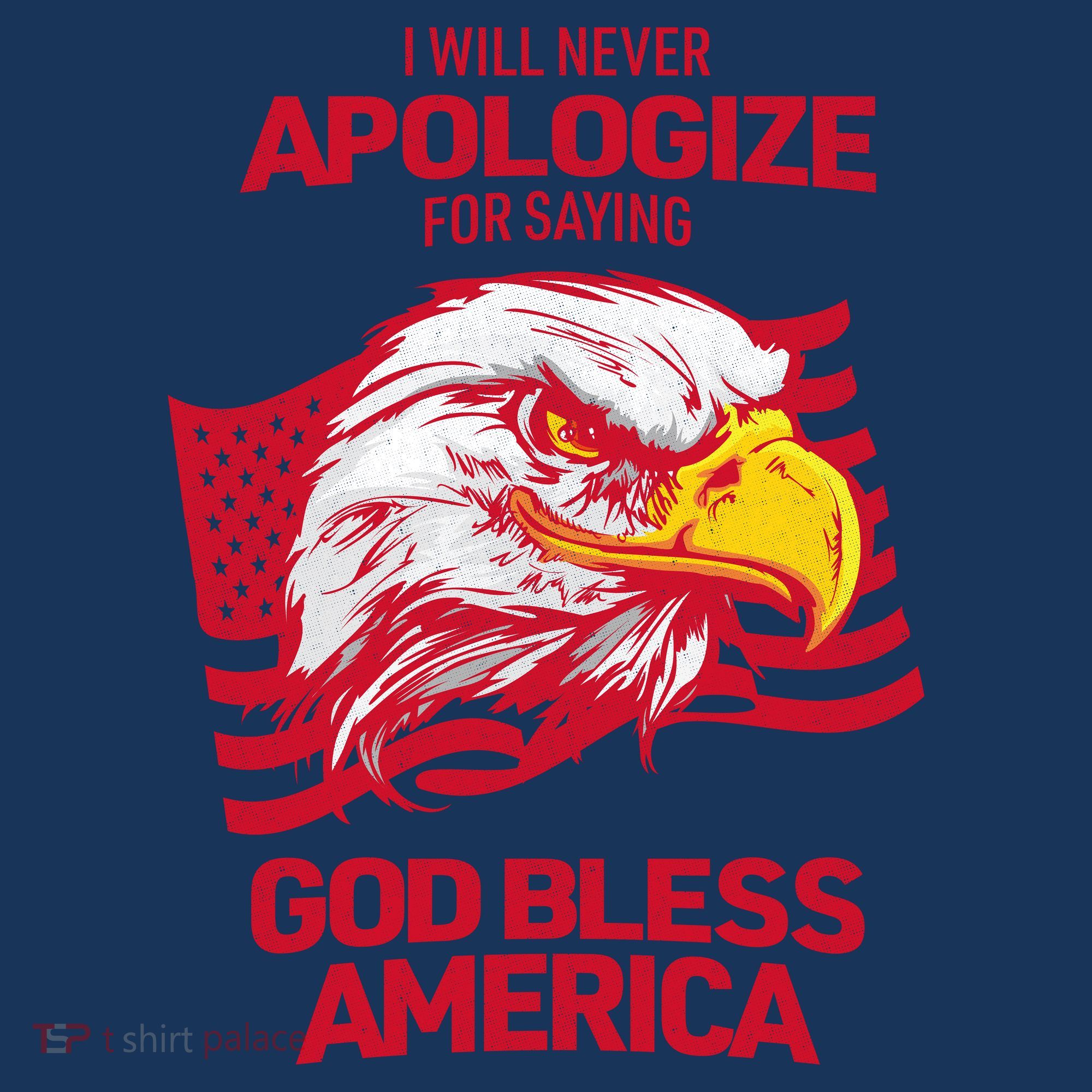 I Will Never Apologize For Saying God Bless America Beanie