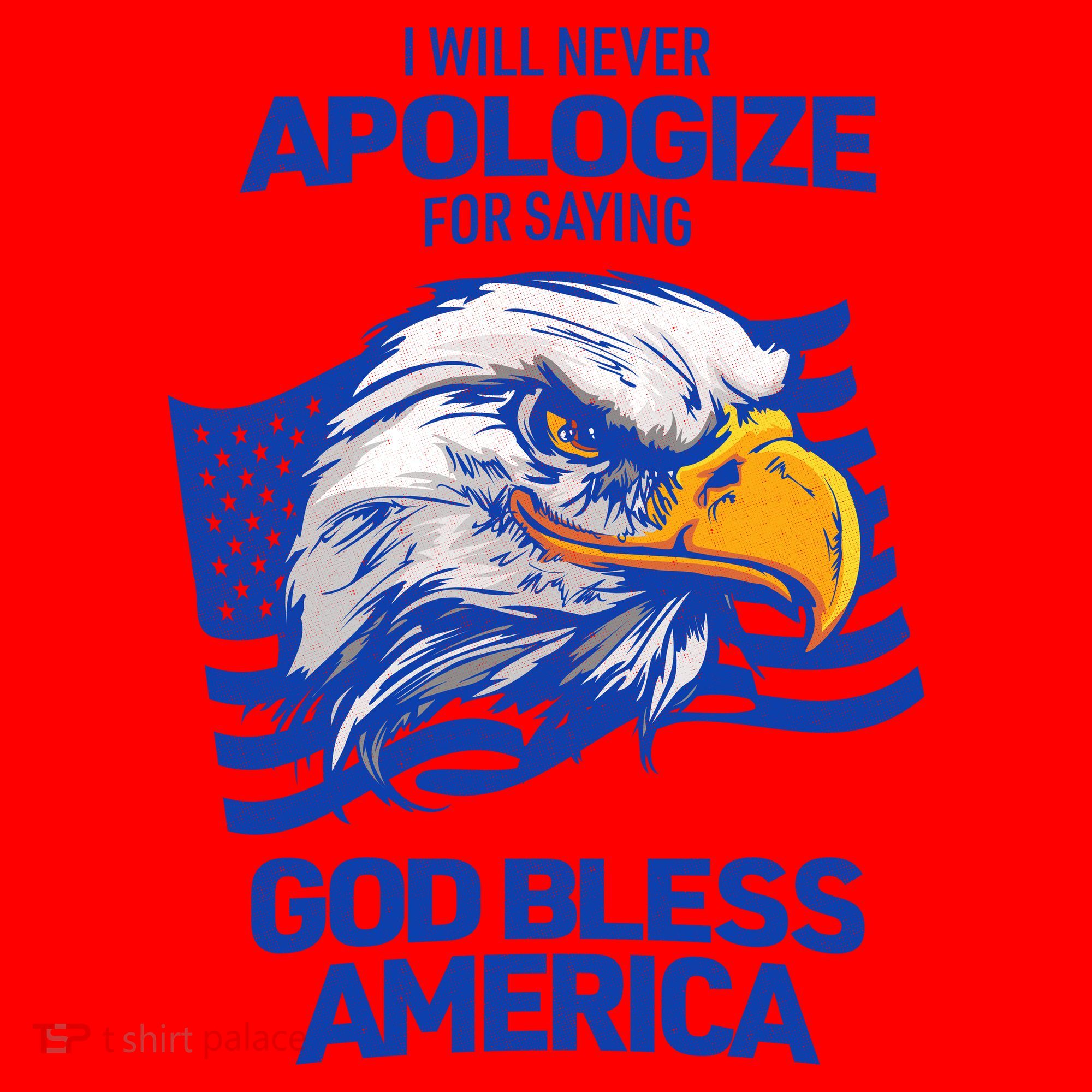 I Will Never Apologize For Saying God Bless America Santa Hat