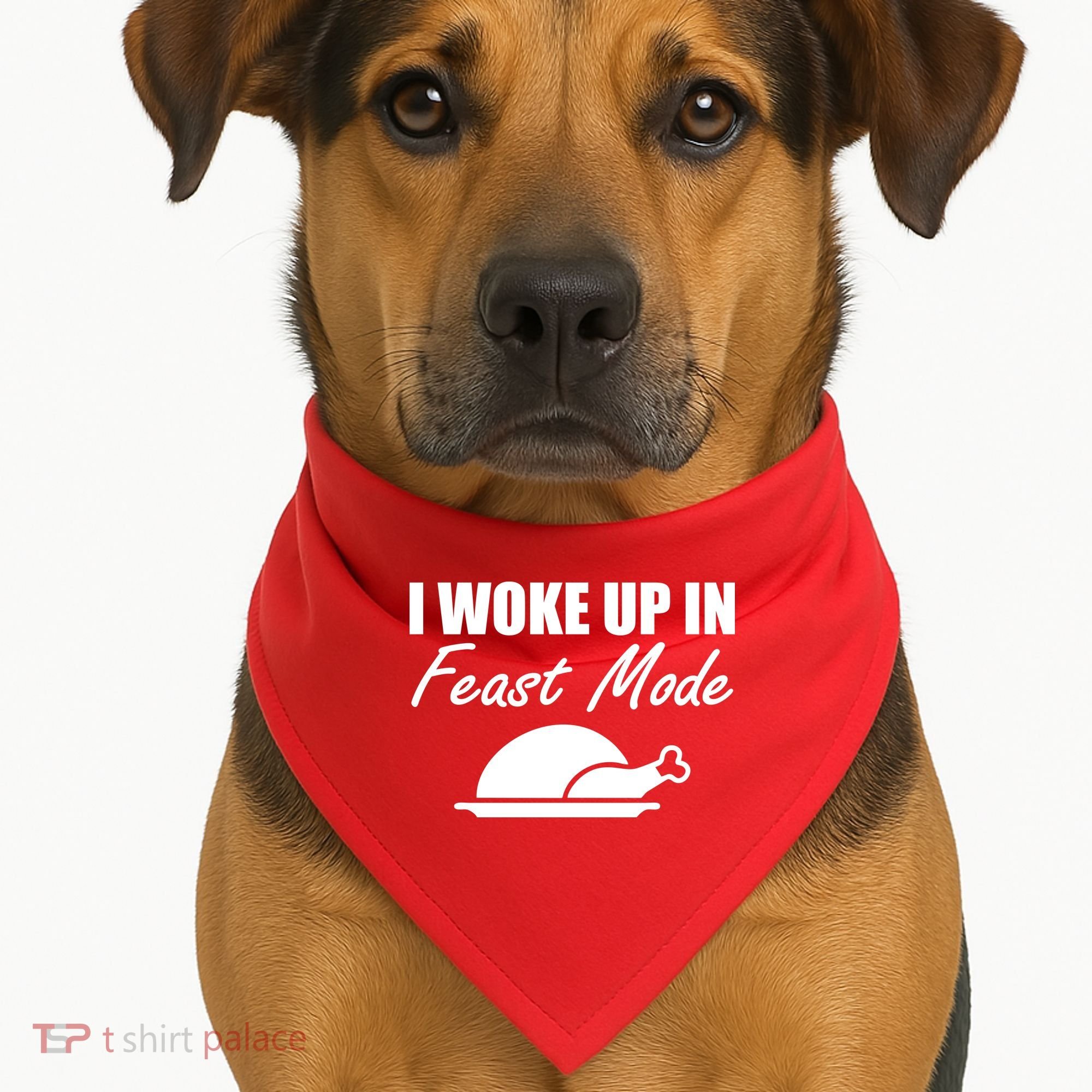 I Woke Up In Feast Mode Thanksgiving Turkey USA-Made Doggie Bandana