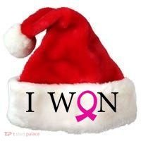 I Won Defeat Breast Cancer Survivor Santa Hat thumb 0