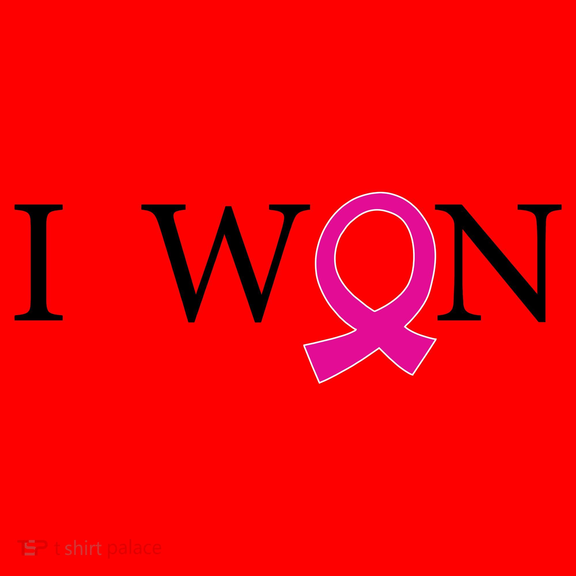 I Won Defeat Breast Cancer Survivor Santa Hat
