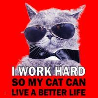 I Work Hard So My Cat Cat Live A Better Life Santa Hat thumb 1