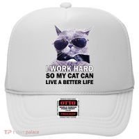 I Work Hard So My Cat Cat Live A Better Life Hat thumb 0
