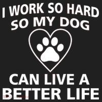 I Work Hard So My Dog Can Live A Better Life Hat thumb 2