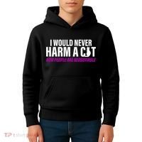 I Would Never Harm A Cat Now People Are Negotiable Kids Hoodie thumb 4