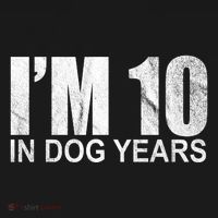 Im 10 In Dog Years Funny Birthday Women's Hoodie thumb 2