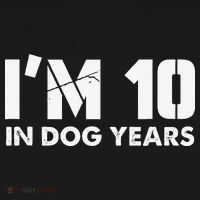 Im 10 In Dog Years Hilarious 70th Bday Women's Hoodie thumb 2