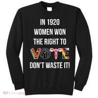 In 1920 Women Won The Right To Vote Don’T Waste It Sweatshirt thumb 0