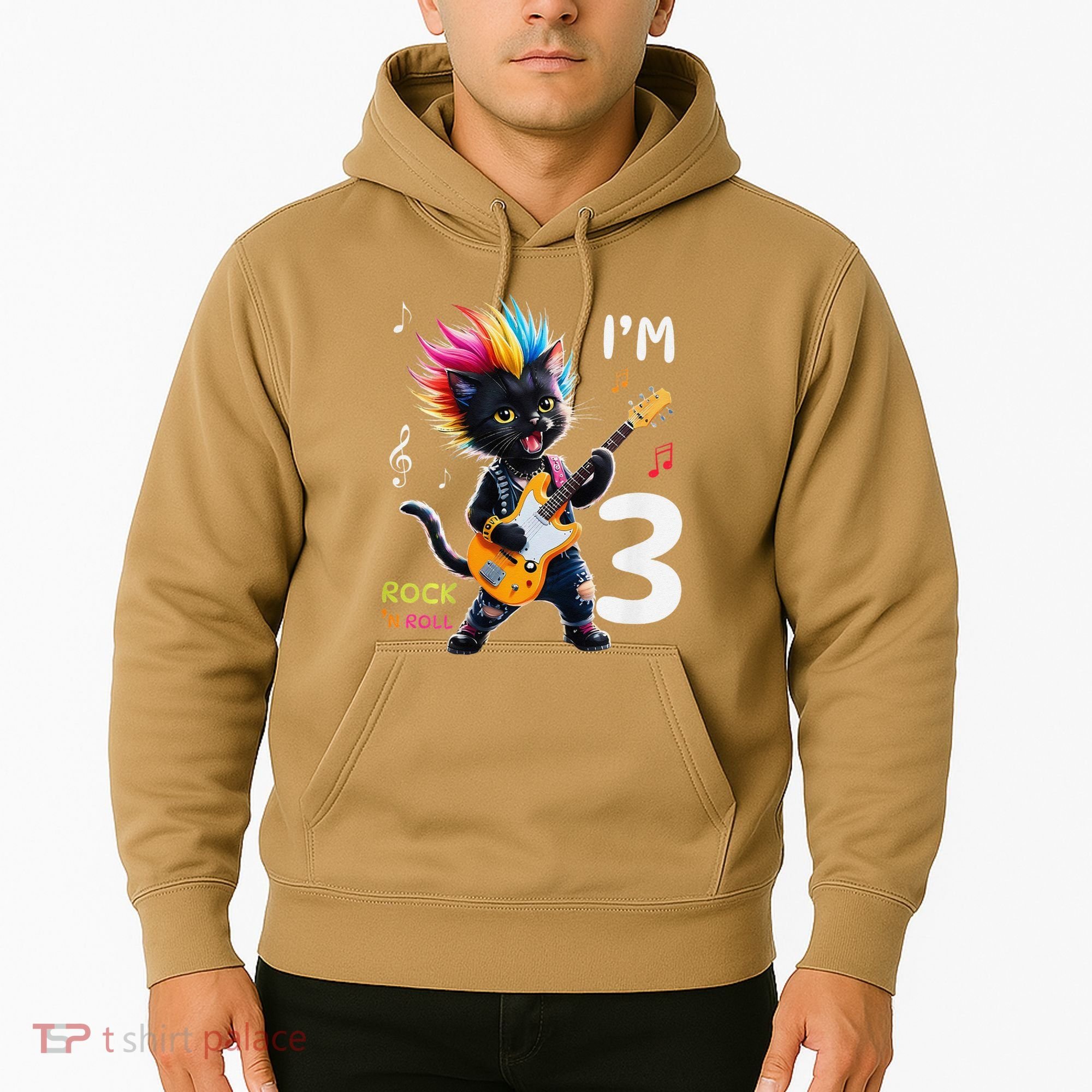 IM 3 Punk Cat RockN Roll Guitar Cat 3rd Birthday Boy Hoodie