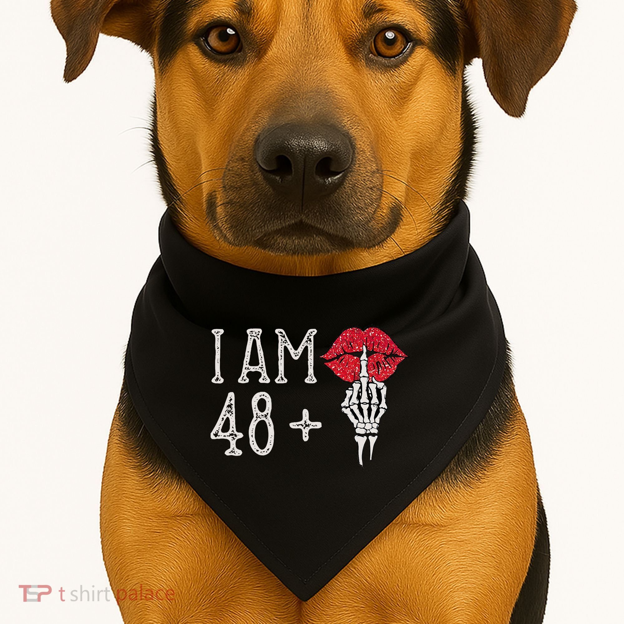 IM 48 Plus 1 Middle Finger Skull Funny 49th Birthday USA-Made Doggie Bandana