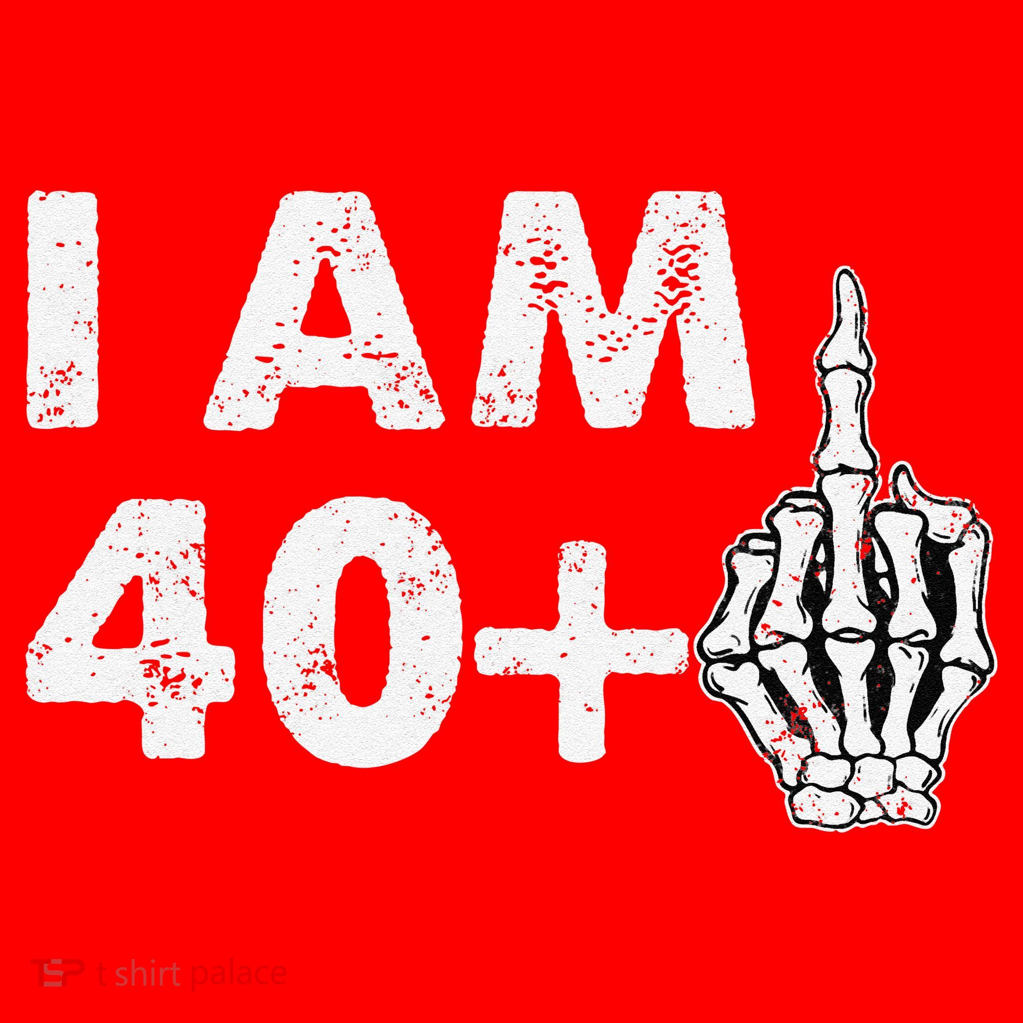 Im 41 Years Old Funny Skeleton Middle Finger 41st Birthday Santa Hat
