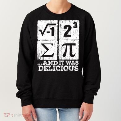 I 8 Sum Pi Meaningful Gift Funny I Ate Some Pie Meaningful Gift Pi Day Nerd Geek Women's Sweatshirt