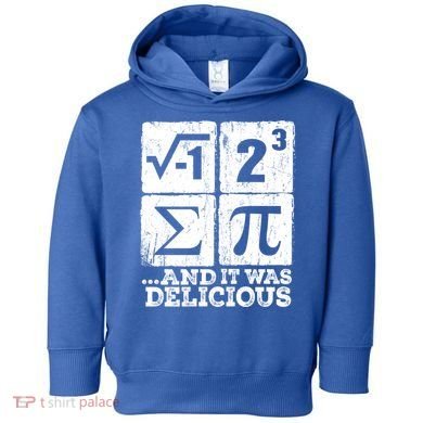 I 8 Sum Pi Meaningful Gift Funny I Ate Some Pie Meaningful Gift Pi Day Nerd Geek Toddler Hoodie