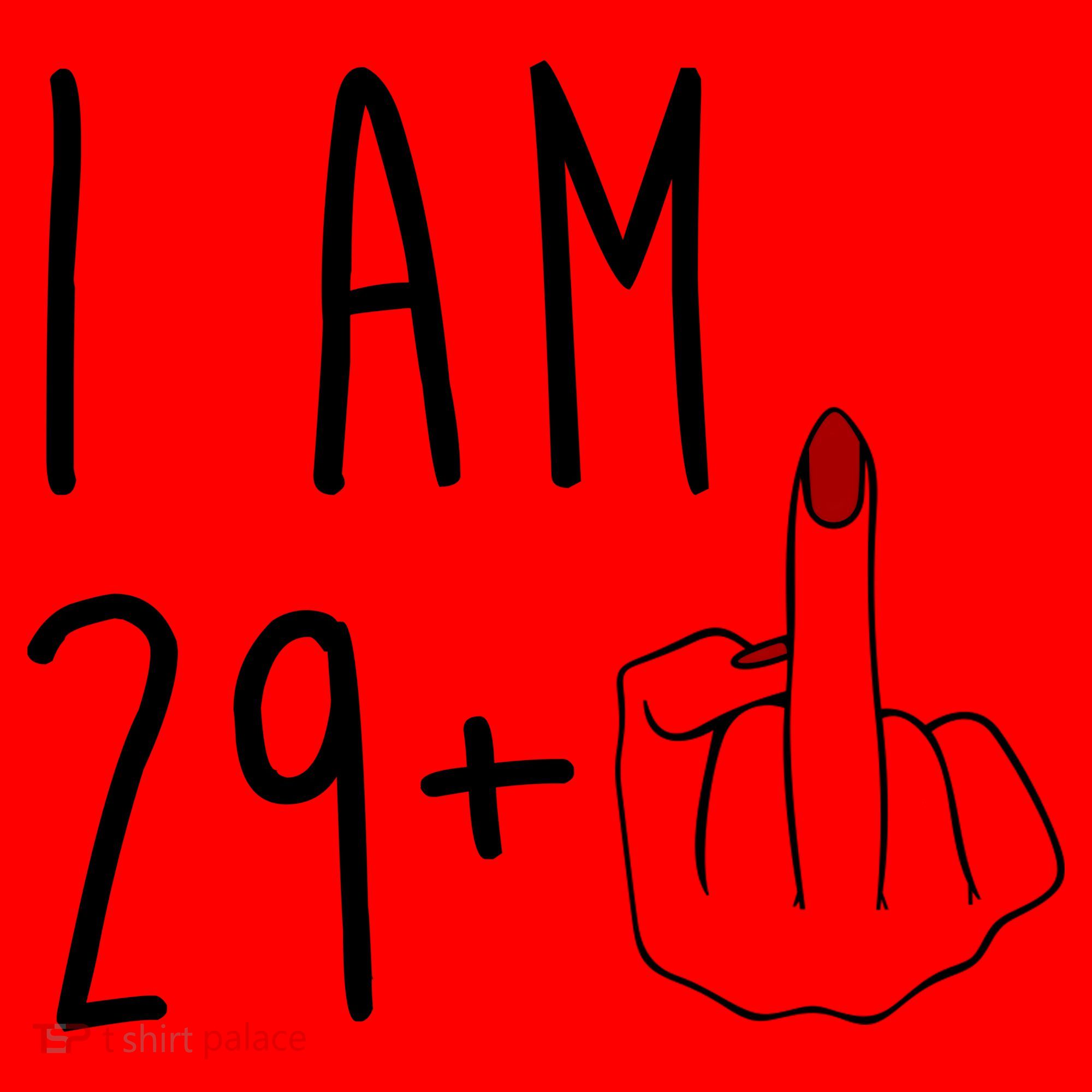 I Am 29 Plus Middle Finger Funny 30th Birthday Santa Hat