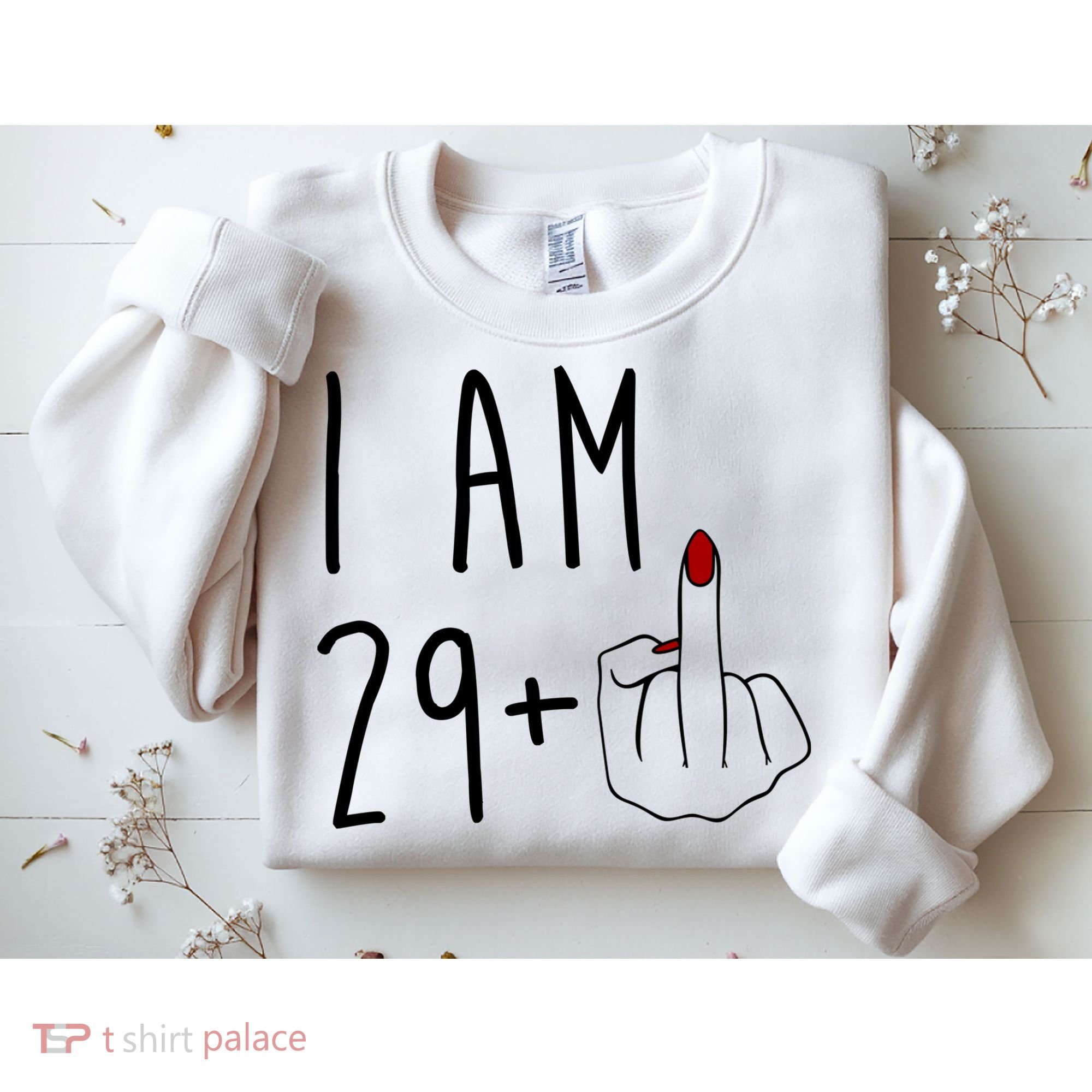 I Am 29 Plus Middle Finger Funny 30th Birthday Sweatshirt